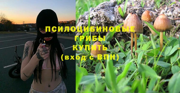 соль ск Остров