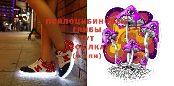 соль ск Остров