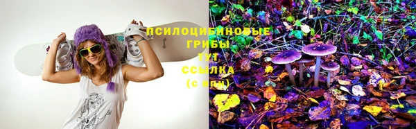 дживик Абинск