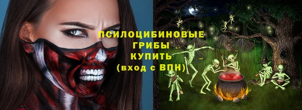 дживик Абинск